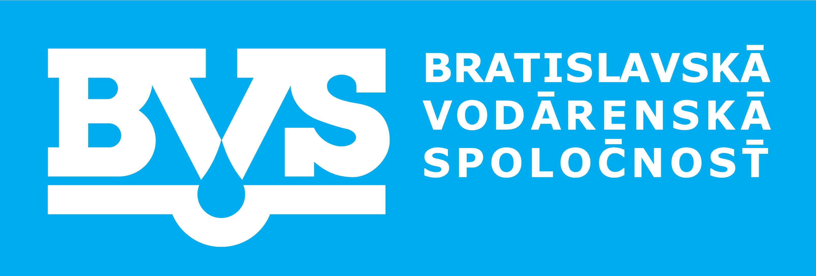 Logo BVSAS